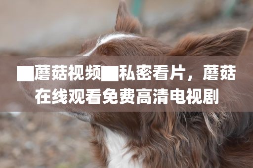 ▇蘑菇视频▇私密看片，蘑菇在线观看免费高清电视剧