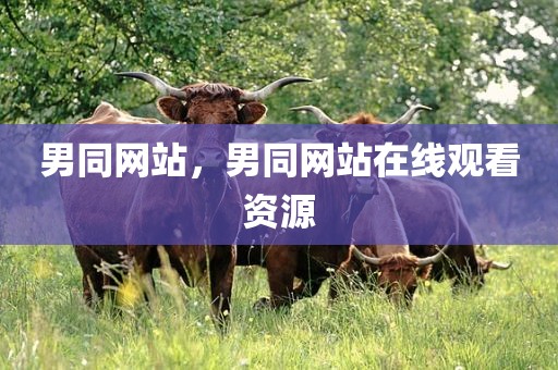 男同网站，男同网站在线观看资源
