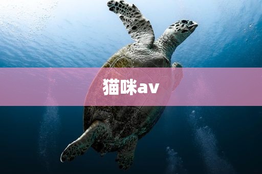 猫咪av