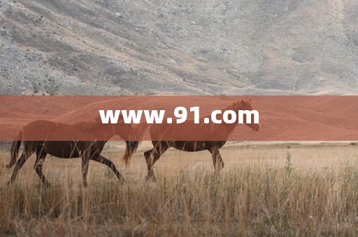 www.91.com