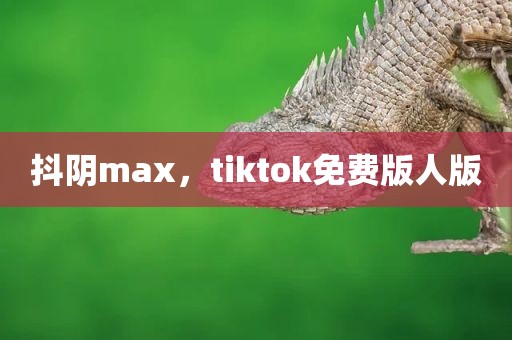抖阴max，tiktok免费版人版
