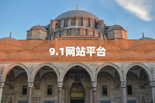 9.1网站平台