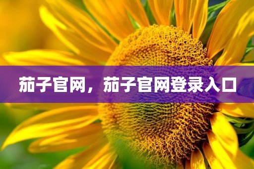 茄子官网，茄子官网登录入口