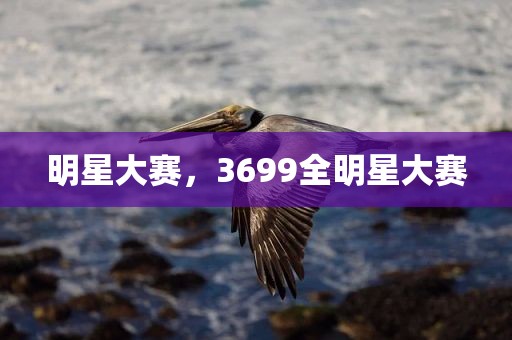 明星大赛，3699全明星大赛