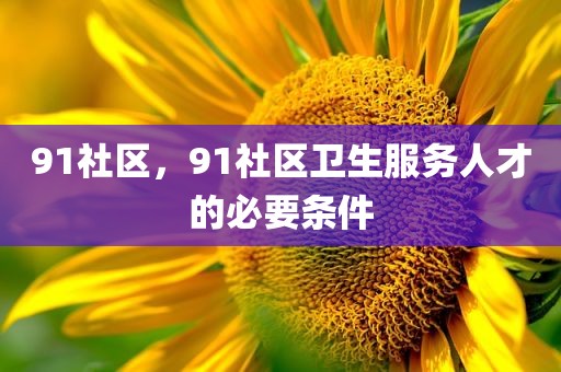 91社区，91社区卫生服务人才的必要条件