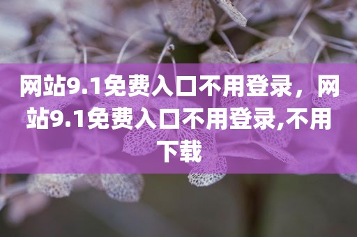 网站9.1免费入口不用登录，网站9.1免费入口不用登录,不用下载