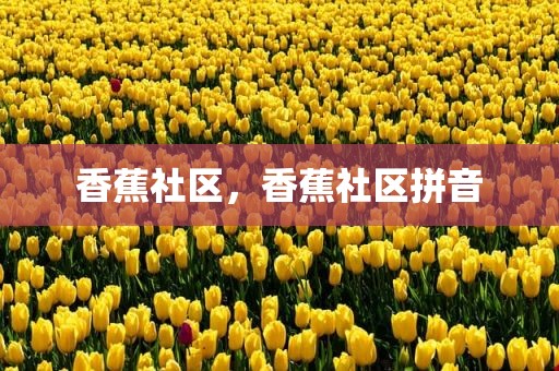 香蕉社区，香蕉社区拼音