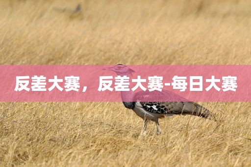 反差大赛，反差大赛-每日大赛