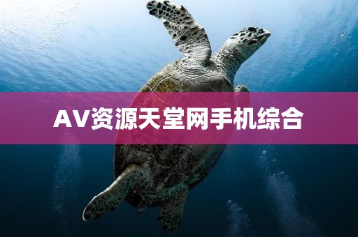 AV资源天堂网手机综合