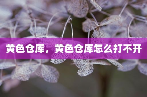 黄色仓库，黄色仓库怎么打不开
