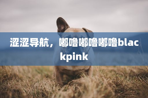 涩涩导航，嘟噜嘟噜嘟噜blackpink