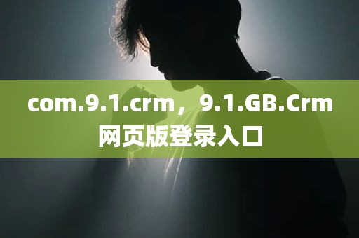 com.9.1.crm，9.1.GB.Crm网页版登录入口