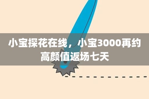 小宝探花在线，小宝3000再约高颜值返场七天