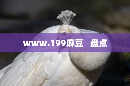 www.199麻豆   盘点