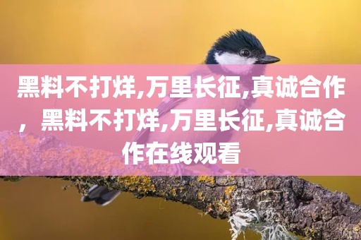 黑料不打烊,万里长征,真诚合作，黑料不打烊,万里长征,真诚合作在线观看