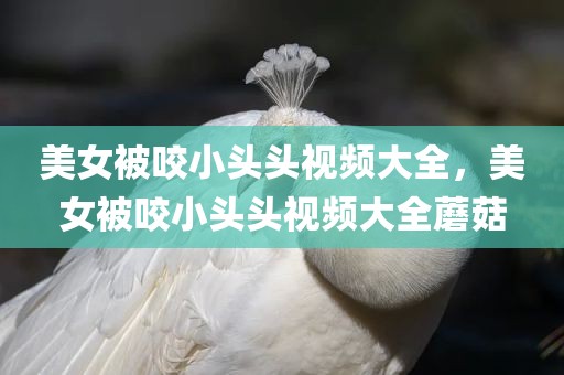 美女被咬小头头视频大全，美女被咬小头头视频大全蘑菇