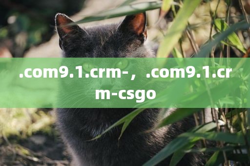 .com9.1.crm-，.com9.1.crm-csgo
