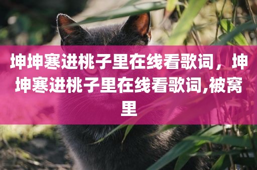 坤坤寒进桃子里在线看歌词，坤坤寒进桃子里在线看歌词,被窝里