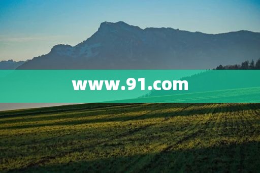 www.91.com