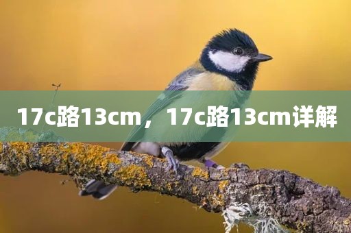17c路13cm，17c路13cm详解