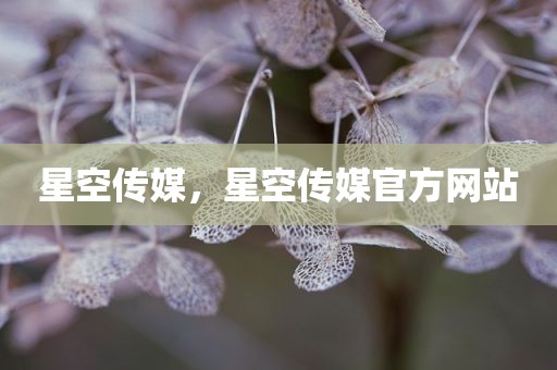 星空传媒，星空传媒官方网站
