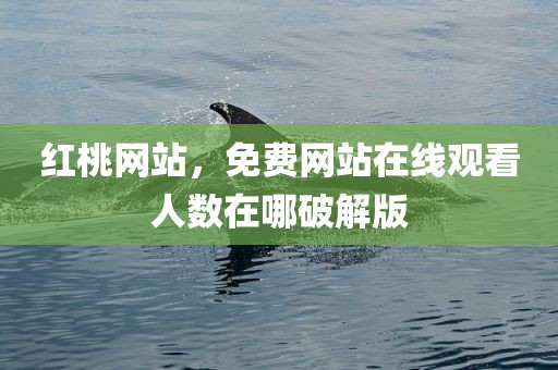红桃网站，免费网站在线观看人数在哪破解版