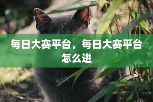 每日大赛平台，每日大赛平台怎么进