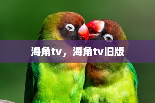 海角tv，海角tv旧版