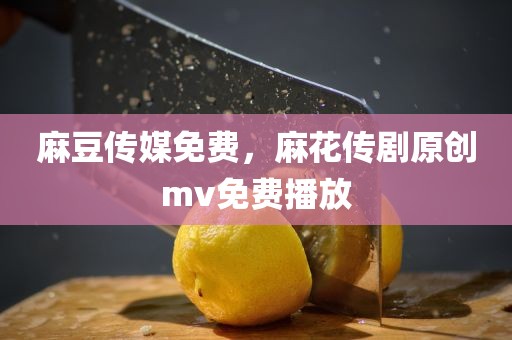 麻豆传媒免费，麻花传剧原创mv免费播放