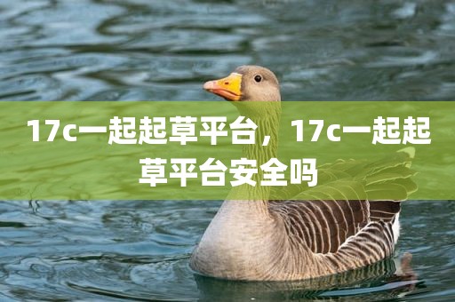 17c一起起草平台，17c一起起草平台安全吗