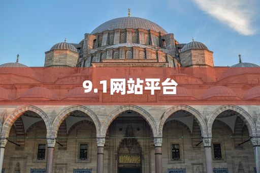 9.1网站平台
