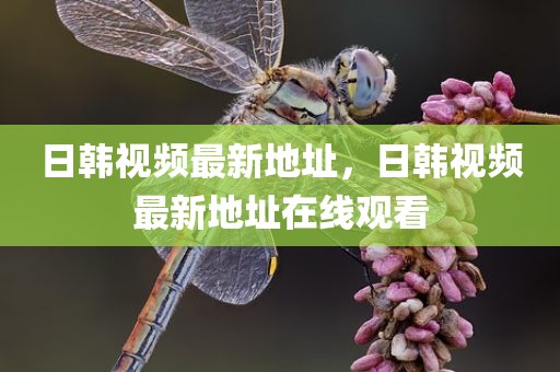 日韩视频最新地址，日韩视频最新地址在线观看