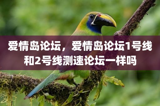 爱情岛论坛，爱情岛论坛1号线和2号线测速论坛一样吗