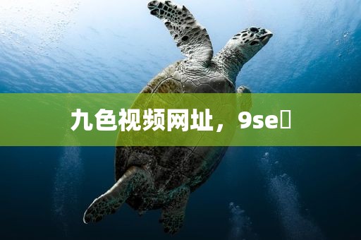 九色视频网址，9se 