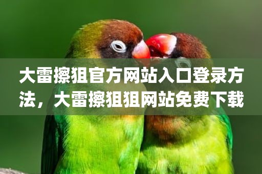 大雷擦狙官方网站入口登录方法，大雷擦狙狙网站免费下载