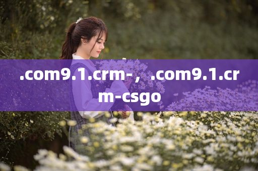 .com9.1.crm-，.com9.1.crm-csgo