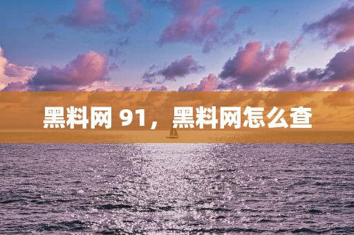 黑料网 91，黑料网怎么查