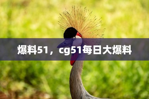 爆料51，cg51每日大爆料