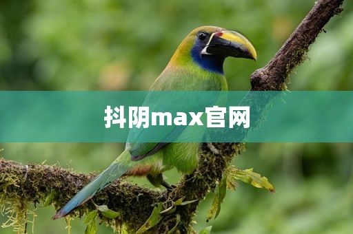 抖阴max官网