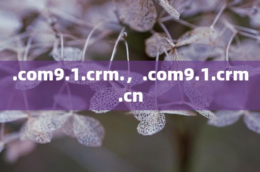 .com9.1.crm.，.com9.1.crm.cn