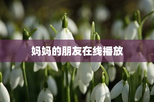 妈妈的朋友在线播放