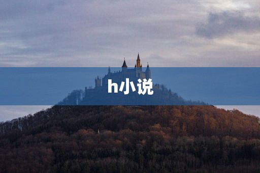 h小说