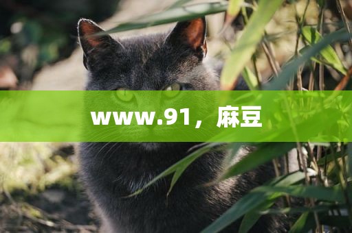 www.91，麻豆