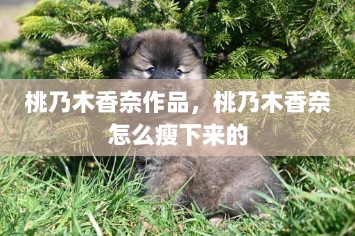 桃乃木香奈作品，桃乃木香奈怎么瘦下来的
