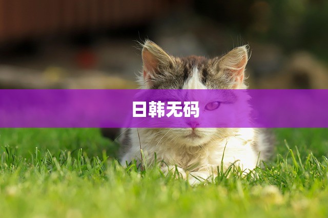 日韩无码