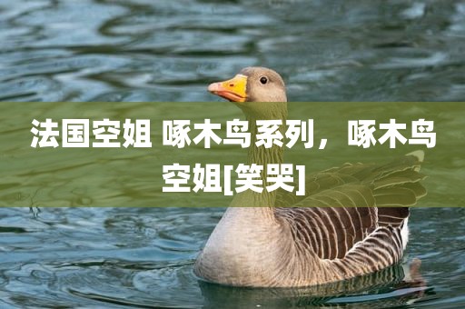 法国空姐 啄木鸟系列，啄木鸟空姐[笑哭]