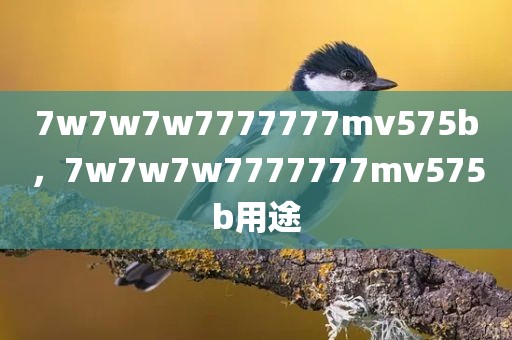 7w7w7w7777777mv575b，7w7w7w7777777mv575b用途