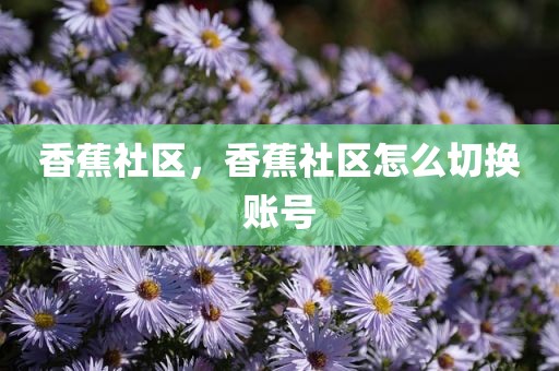香蕉社区，香蕉社区怎么切换账号