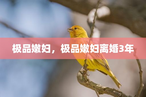 极品嫩妇，极品嫩妇离婚3年