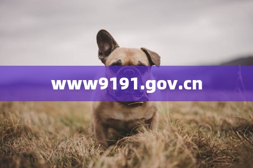www9191.gov.cn